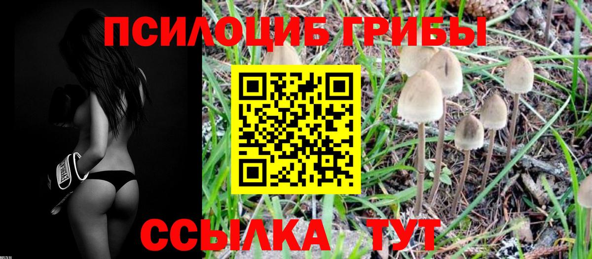 Псилоцибиновые грибы Magic Shrooms Чебоксары