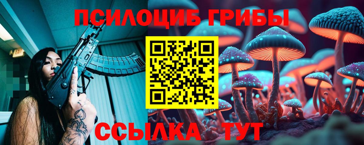 Псилоцибиновые грибы Cubensis  Вход с VPN  Чебоксары  Псилоцибиновые грибы Magic Shrooms 