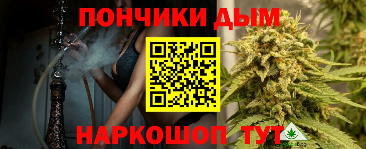 Каннабис план Чебоксары